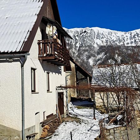Hikers Hut Hisar Lägenhet Podbrdo Exteriör bild