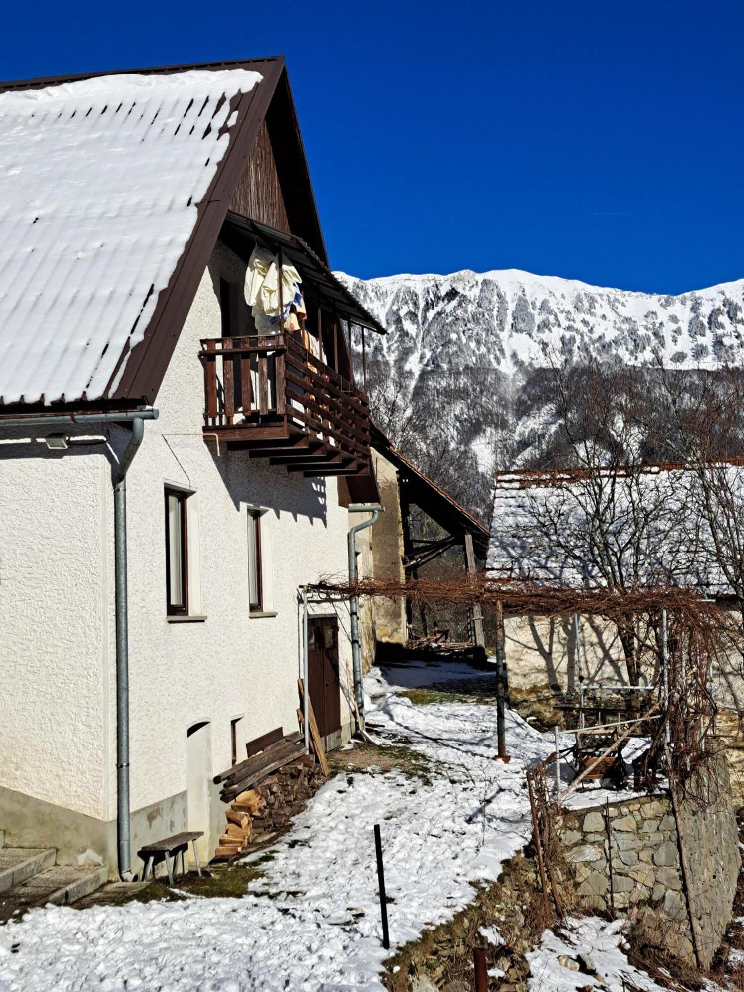 Hikers Hut Hisar Lägenhet Podbrdo Exteriör bild