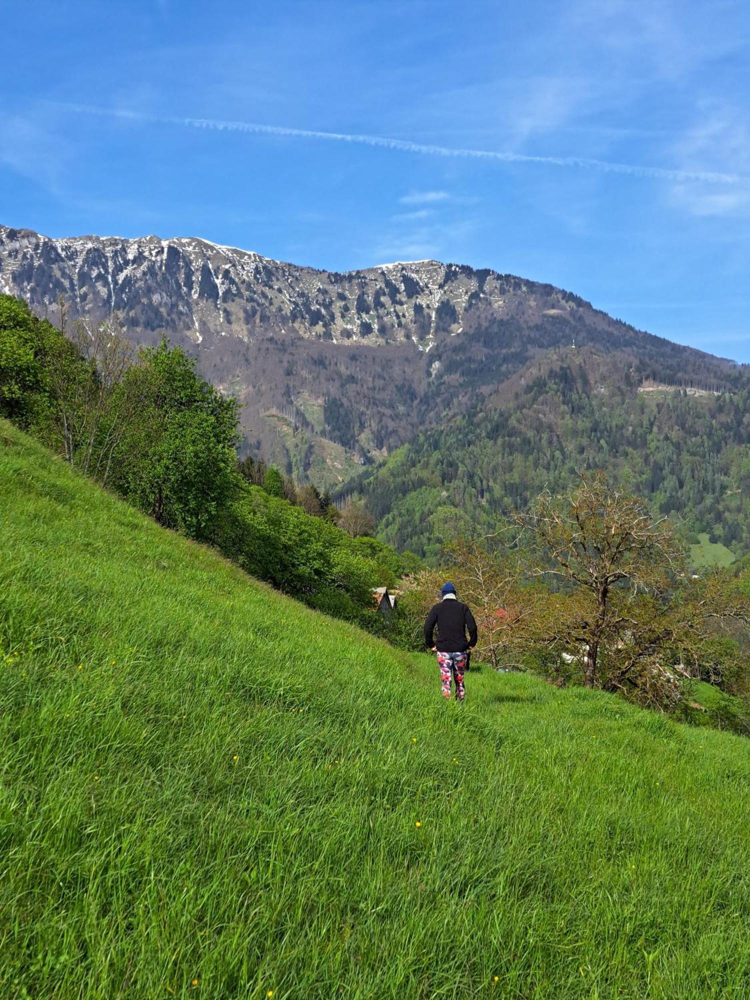 Hikers Hut Hisar Lägenhet Podbrdo Exteriör bild